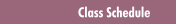 Class Schedule